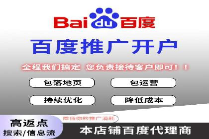 搜索引擎营销（SEM）在电商行业的投放策略案例